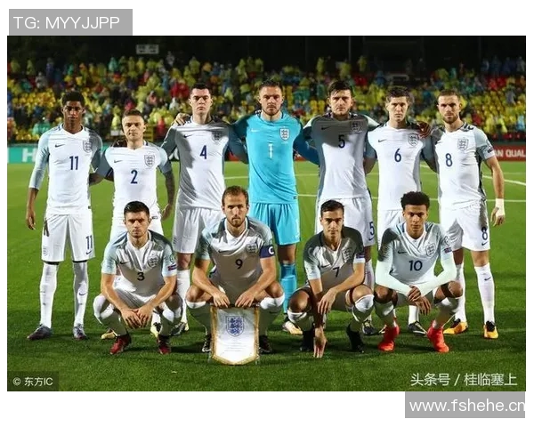 突尼斯与英格兰赛前分析及最新动态全面解读 突尼斯与英格兰赛前分析及最新动态全面解读