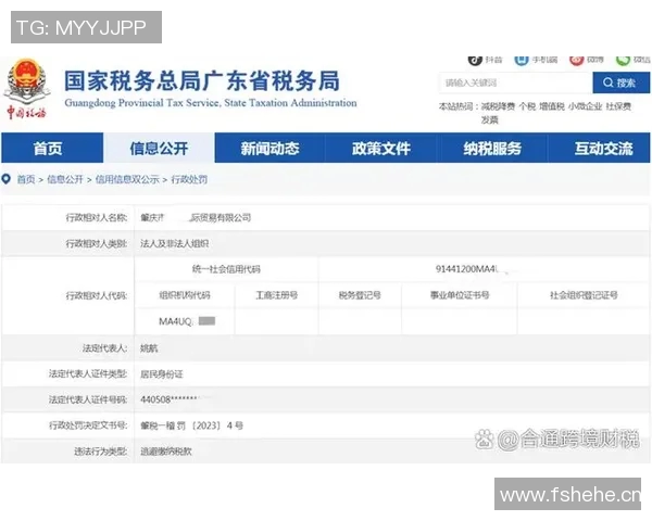 财税管理创新路径：提升企业运营效率与合规性分析
