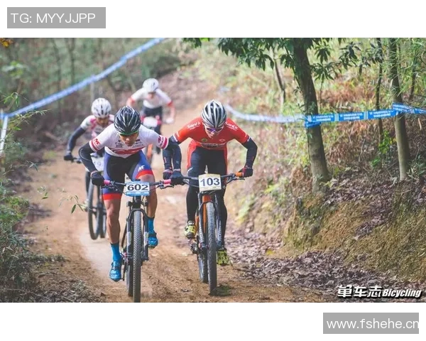 上海乒乓球队如何通过节奏革新提升竞技水平与团队协作能力