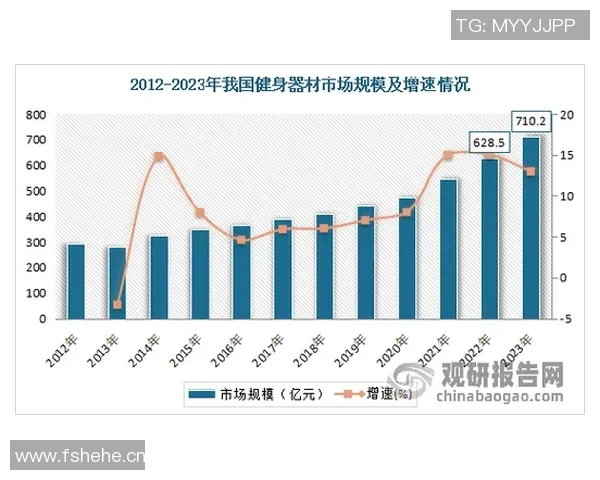 健身器材分类与功能对比分析 健身器材分类与功能对比分析