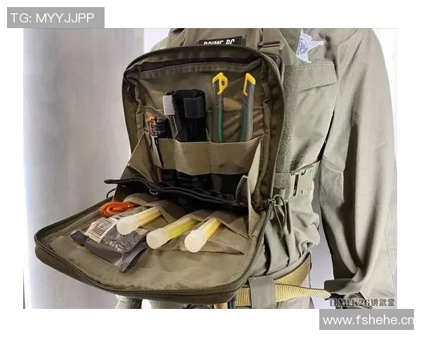 深度分析FPX中路突破战术的核心策略与执行细节