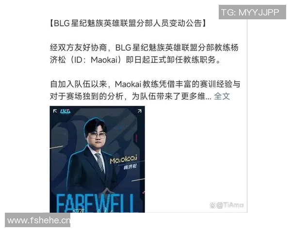 英雄联盟战队TES的全方位压制策略与战术分析揭秘