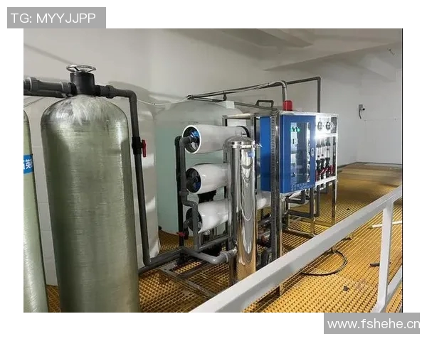 陈军独家分享排球心得与技巧助你提升球技的全面指南